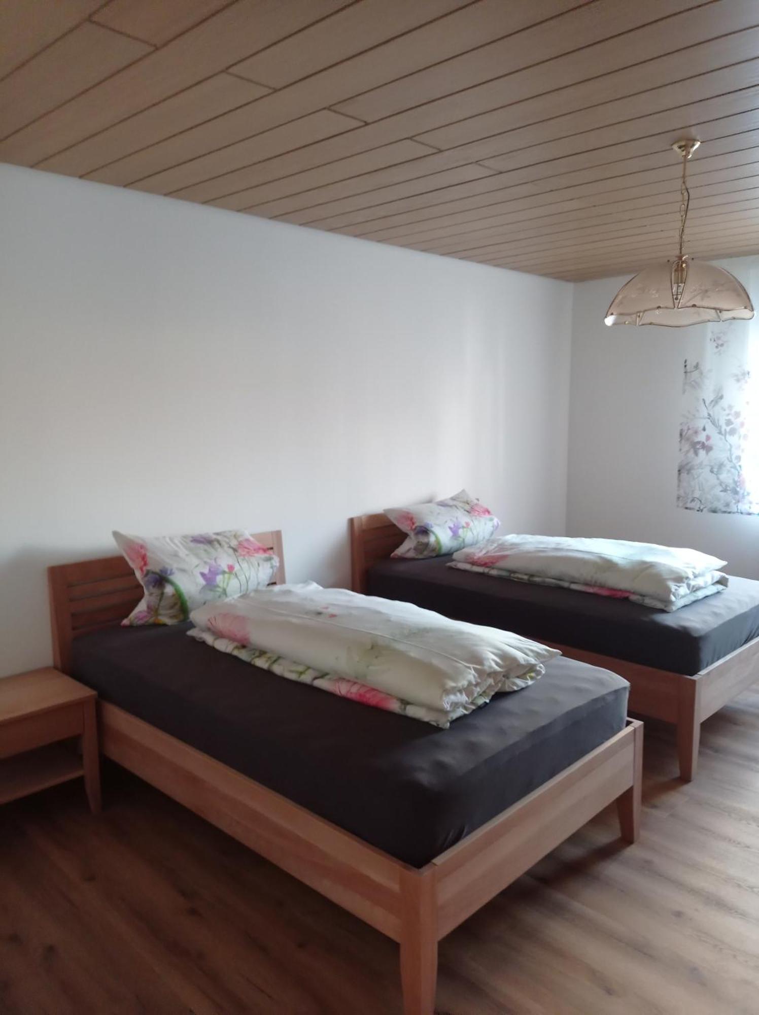 Zur Stadt 福尔卡赫 外观 照片